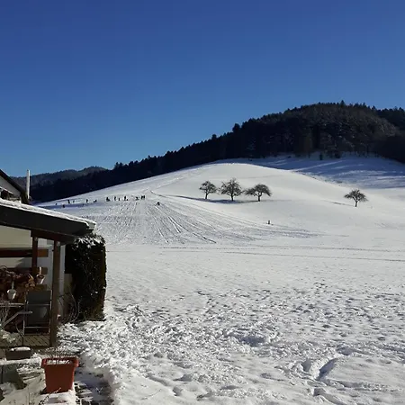 Apartamento Haus Heinemann